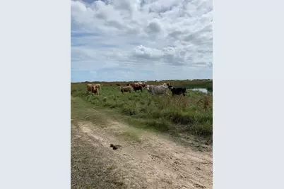 0 Gulf Of Mexico, Palacios, TX 77465 - Photo 5