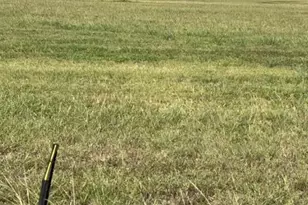 88 Pr 687, Matagorda, TX 77457 - Photo 1