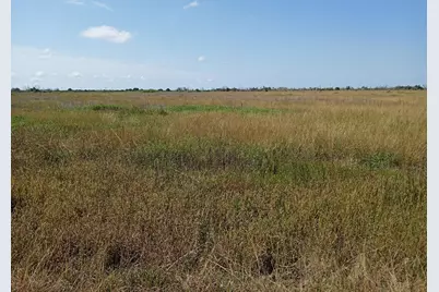 0 Cr 394 Graff, Blessing, TX 77419 - Photo 3