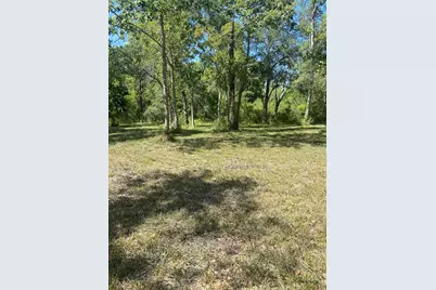 2241 Fm 1459, Sweeny, TX 77480 - Photo 11