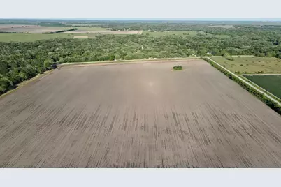 Reduced 0 Harter Road ( Cr 343 ), Blessing, TX 77419 - Photo 5