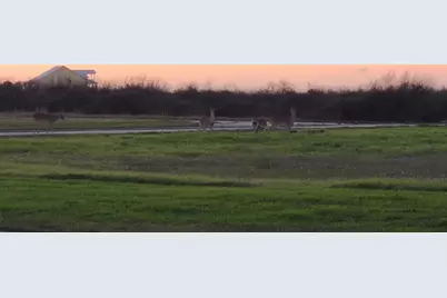 3561 Kiawah, Palacios, TX 77465 - Photo 7