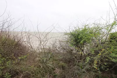 3329 Bay Point Dr, Palacios, TX 77465 - Photo 3