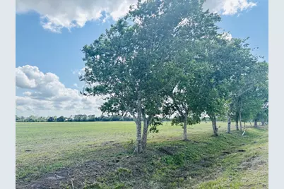 Tract 2 Cr 208, Bay City, TX 77414 - Photo 3