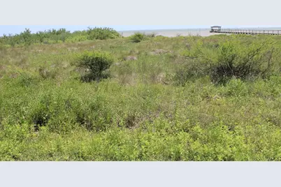 3209 Bay Ridge, Palacios, TX 77465 - Photo 5