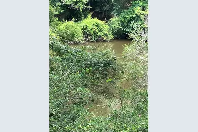 4 River Hollow Way, Blessing, TX 77419 - Photo 3