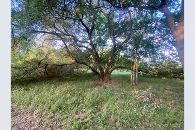 481 Acre Bay City Fm 2668, Bay City, TX 77414 - Photo 17