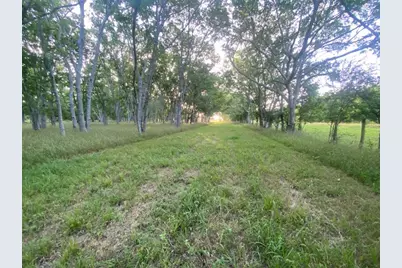 481 Acre Bay City Fm 2668, Bay City, TX 77414 - Photo 23