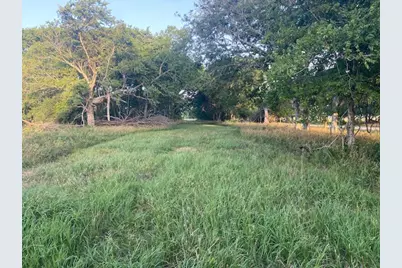 481 Acre Bay City Fm 2668, Bay City, TX 77414 - Photo 11