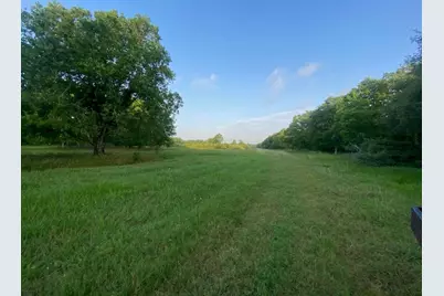 481 Acre Bay City Fm 2668, Bay City, TX 77414 - Photo 19