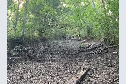 481 Acre Bay City Fm 2668, Bay City, TX 77414 - Photo 29