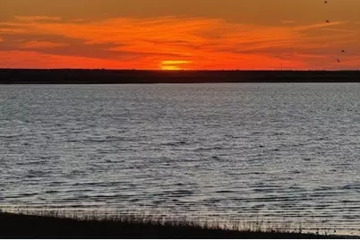 2957 Hammock, Palacios, TX 77465 - Photo 11