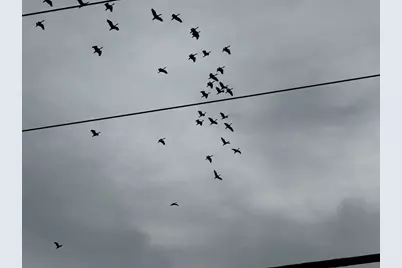 0 Cr 46, Danbury, TX 77534 - Photo 5