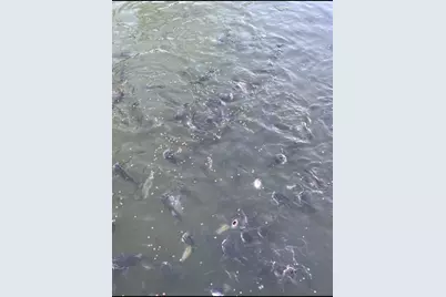 2744 Cr 415 C, Brazoria, TX 77422 - Photo 15