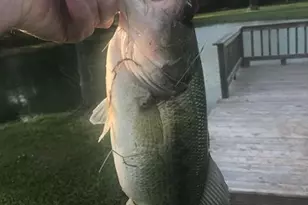 2744 Cr 415 C, Brazoria, TX 77422 - Photo 17