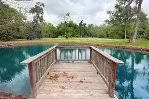 2744 Cr 415 C, Brazoria, TX 77422 - Photo 3