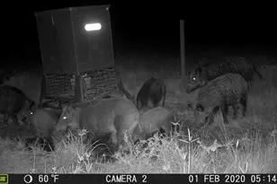 955 County Road 285, Palacios, TX 77465 - Photo 27