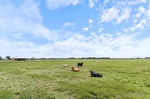 955 County Road 285, Palacios, TX 77465 - Photo 25