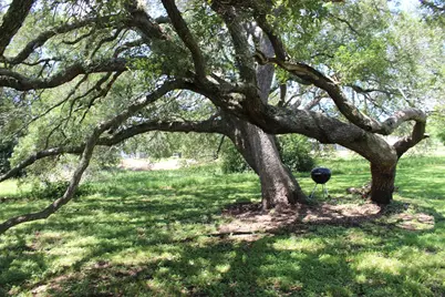 158 Old River Rd, Palacios, TX 77465 - Photo 3