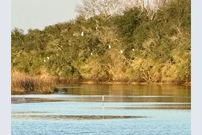 4621 County Road 459B, Freeport, TX 77541 - Photo 33