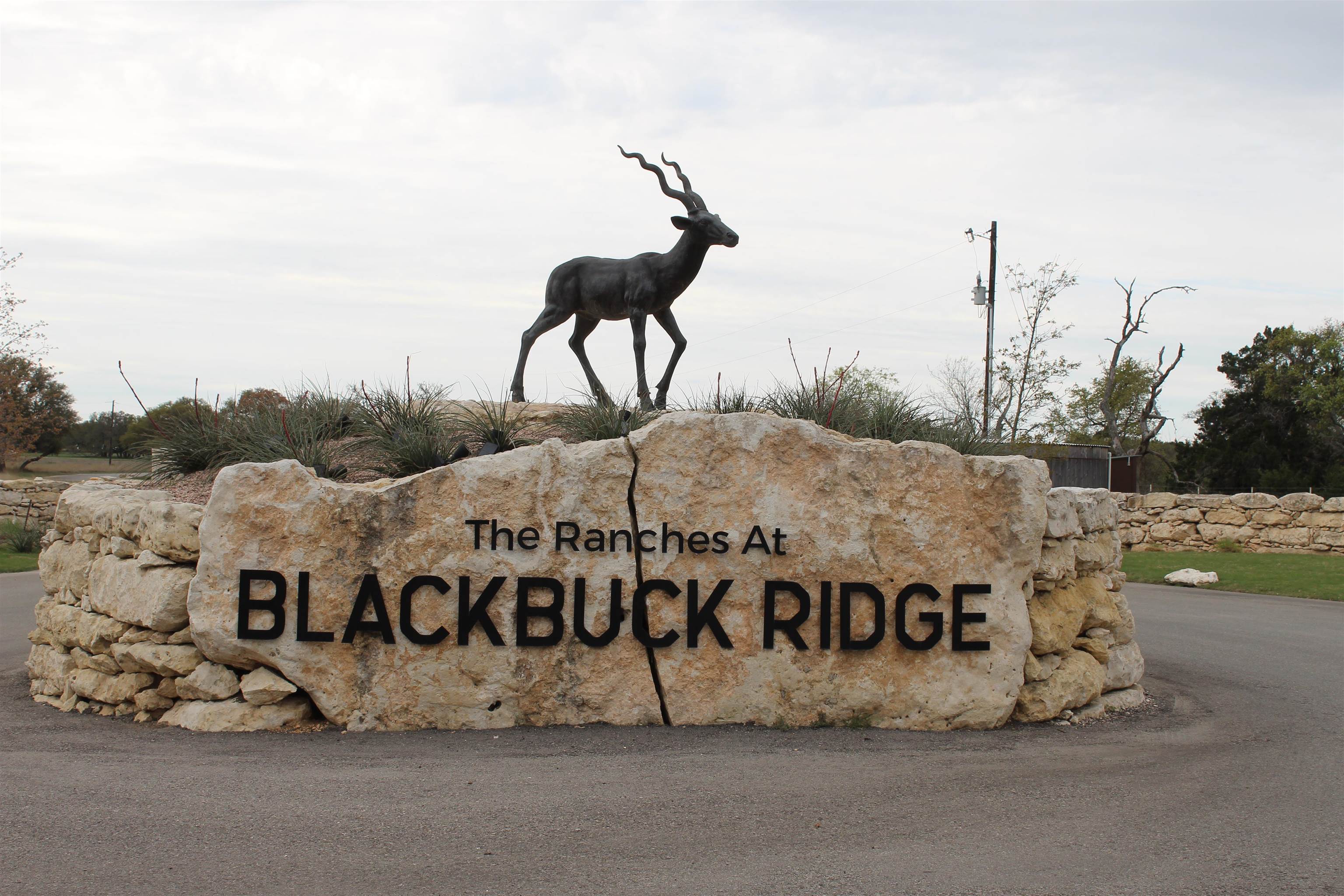 000 Black Buck Ridge Dr, Lampasas, TX 76550 MLS 163653 Coldwell Banker