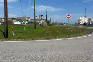 10780 Fm 3005 Aka Termini-San Luis Pass Rd, Galveston, TX 77554 - Photo 1
