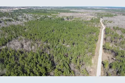 3012 Pr 8160, Lovelady, TX 75851 - Photo 3