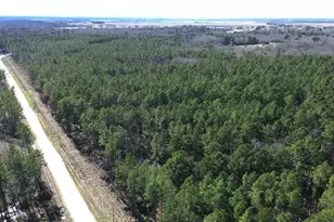 3012 Pr 8160, Lovelady, TX 75851 - Photo 1