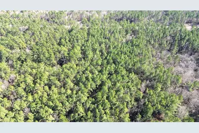 3012 Pr 8160, Lovelady, TX 75851 - Photo 7