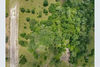 10677 Brushwood Cutoff, Bedias, TX 77831 - Photo 5