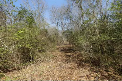 6671 Cotton Street, Bedias, TX 77831 - Photo 11