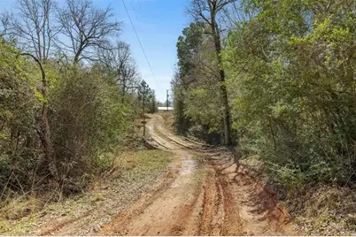 6671 Cotton Street, Bedias, TX 77831 - Photo 9