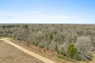 6671 Cotton St, Bedias, TX 77831 - Photo 33