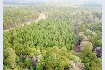 Tbd 10.2+/- Cr 2310, Woodville, TX 75979 - Photo 3