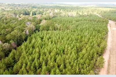 Tbd 10.2+/- Cr 2310, Woodville, TX 75979 - Photo 5