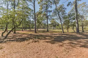 26791 Clark Rd, Waller, TX 77484 - Photo 49