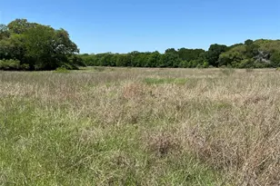 00 Fm 1579 and Langdon Rd, Schulenburg, TX 78956 - Photo 1