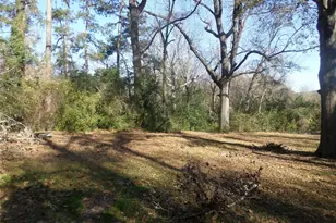 301 S Roberts St, Gilmer, TX 75644 - Photo 7