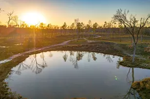 Tbd 07 Johnson Dr, Livingston, TX 77351 - Photo 1