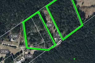 Tbd Sandy Ln Ln, Point Blank, TX 77359 - Photo 1