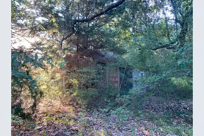 Tbd Sandy Lane Lane, Point Blank, TX 77359 - Photo 9