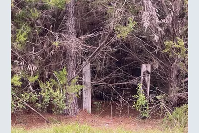 Tbd Sandy Lane Lane, Point Blank, TX 77359 - Photo 11