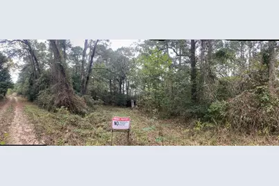 Tbd Sandy Lane Lane, Point Blank, TX 77359 - Photo 5