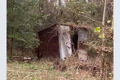 Tbd Sandy Lane Lane, Point Blank, TX 77359 - Photo 3