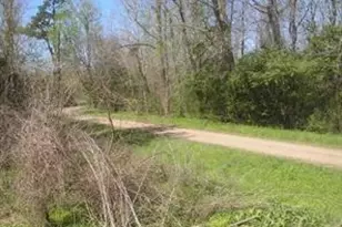 58 Carlotta, Cleveland, TX 77327 - Photo 7