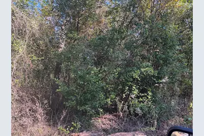 Tbd Lakeview Lane, Shepherd, TX 77371 - Photo 5