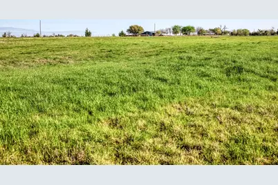 Tracts 10&11 Fieldcrest Ln, Burton, TX 77835 - Photo 9