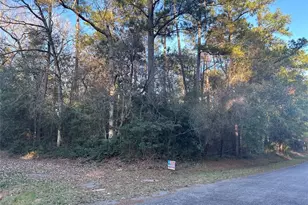 Lot 8 & 9 Chestnut Dr, Village Mills, TX 77625 - Photo 1