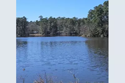 0 Reedwood, Montgomery, TX 77356 - Photo 5