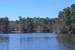 0 Reedwood, Montgomery, TX 77356 - Photo 5